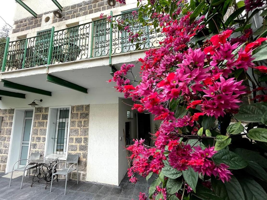 Berenice Winery Hotel طبريا المظهر الخارجي الصورة