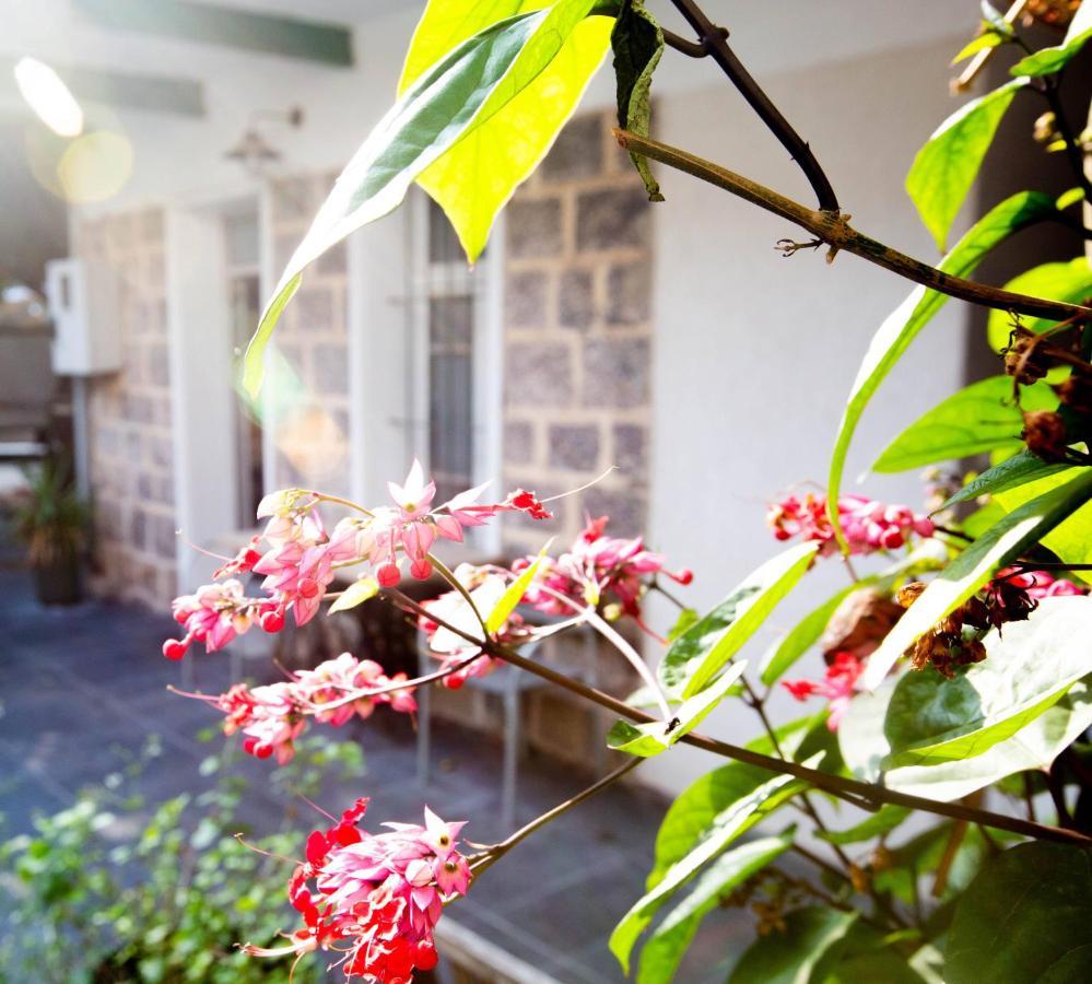 Berenice Winery Hotel طبريا المظهر الخارجي الصورة