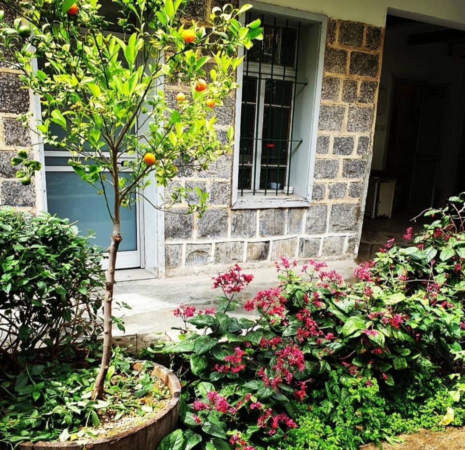 Berenice Winery Hotel طبريا المظهر الخارجي الصورة
