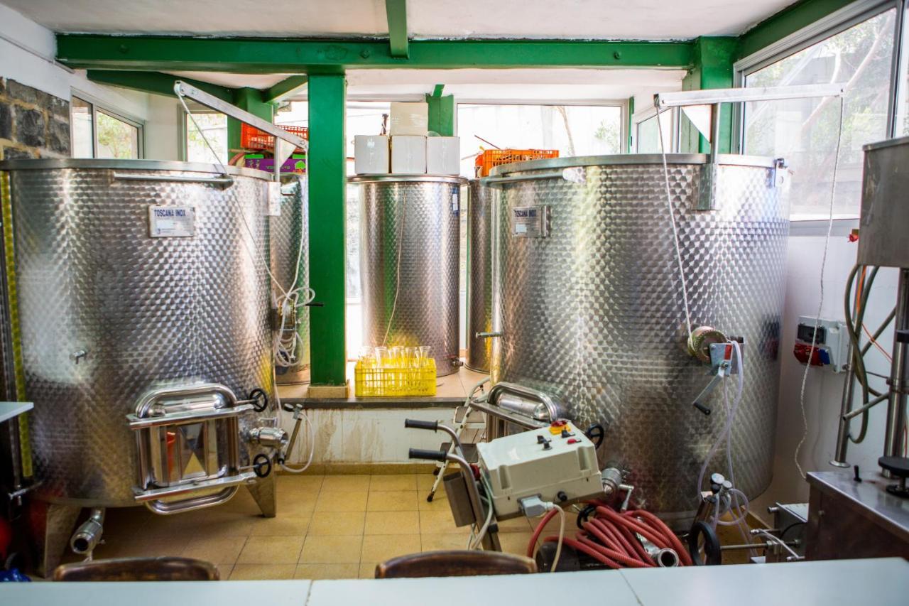 Berenice Winery Hotel طبريا المظهر الخارجي الصورة